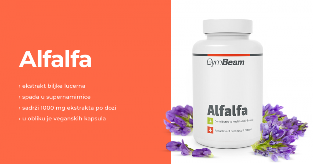 Alfalfa - GymBeam